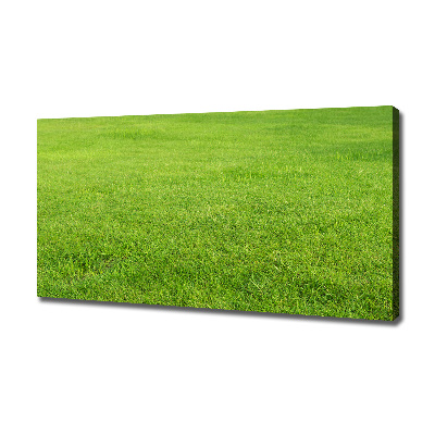 Tableau sur toile Herbe verte