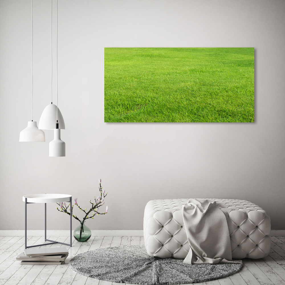 Tableau sur toile Herbe verte