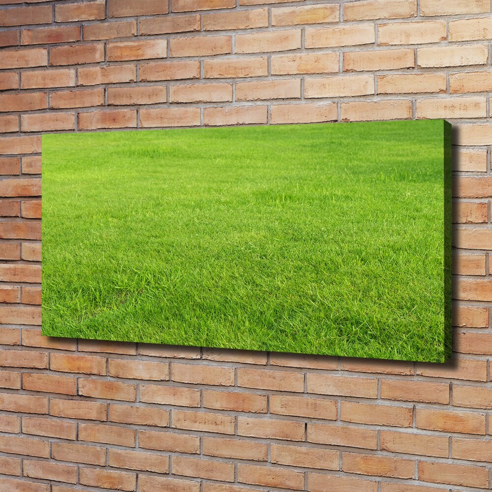 Tableau sur toile Herbe verte