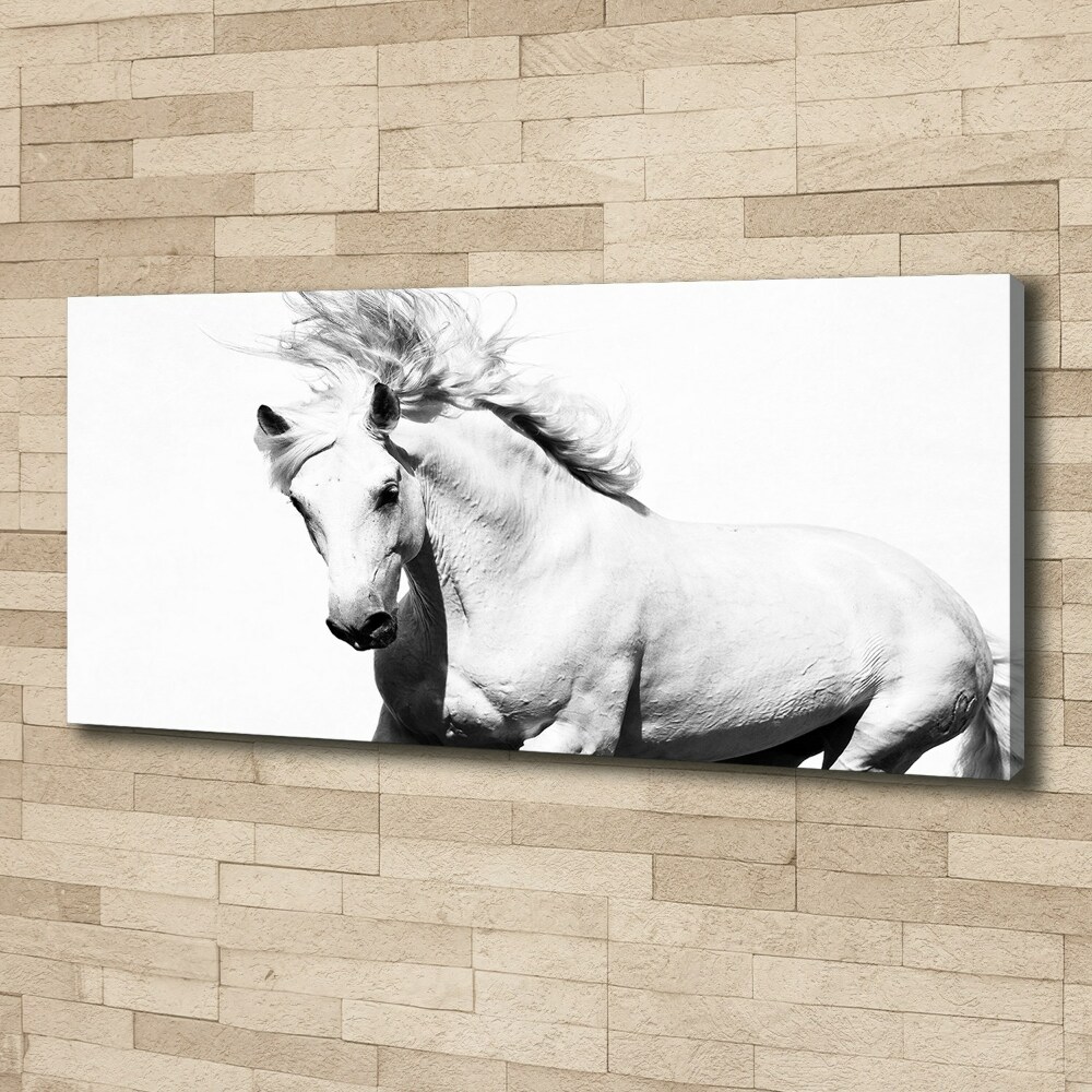 Tableau toile imprimée Cheval blanc