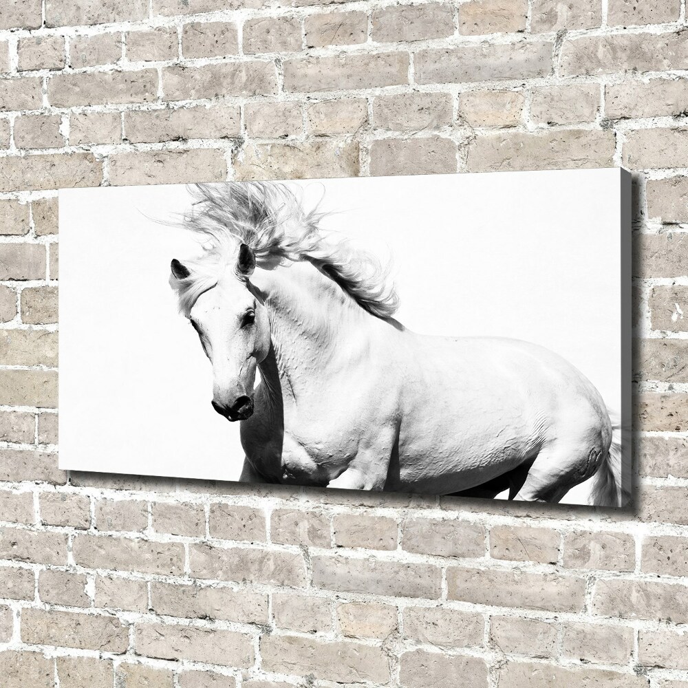 Tableau toile imprimée Cheval blanc