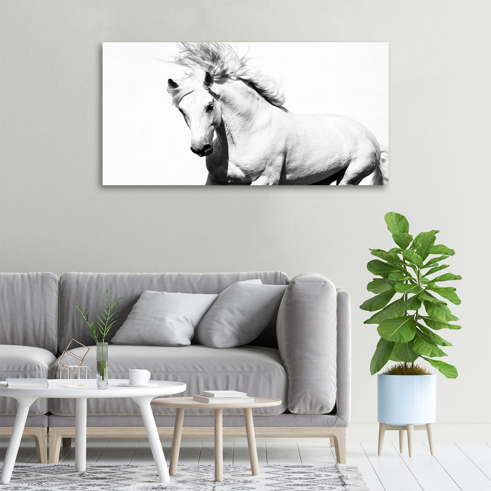 Tableau toile imprimée Cheval blanc