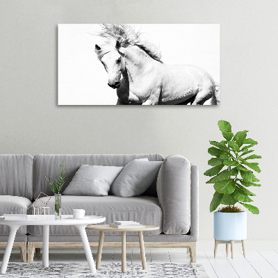 Tableau toile imprimée Cheval blanc