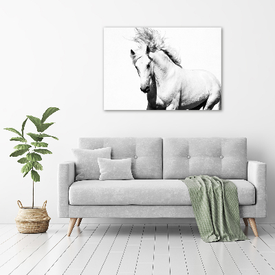 Tableau toile imprimée Cheval blanc