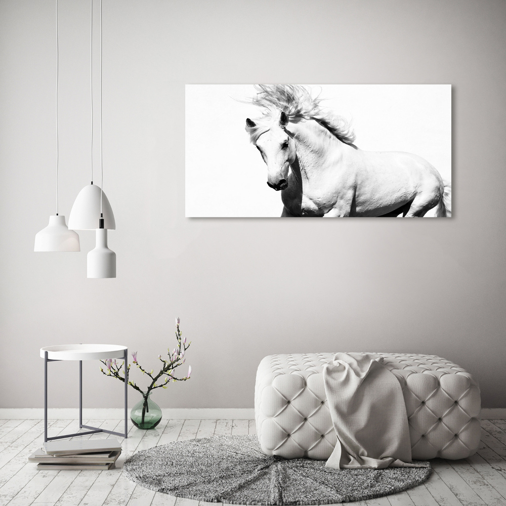 Tableau toile imprimée Cheval blanc