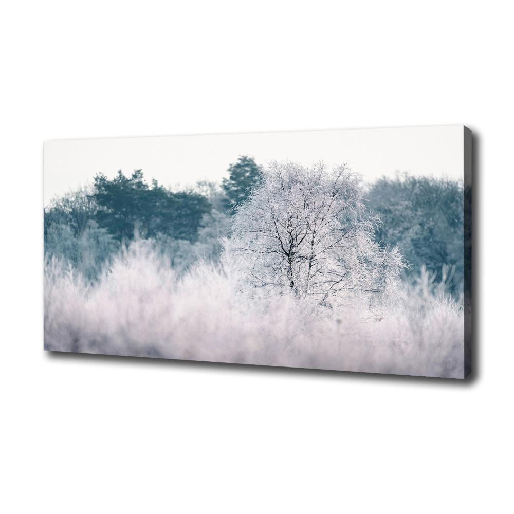 Tableau imprimé sur toile Arbres en hiver