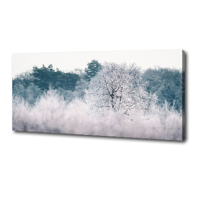 Tableau imprimé sur toile Arbres en hiver