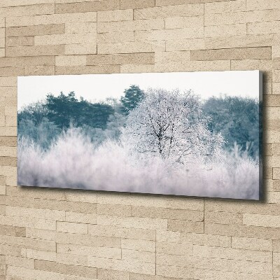 Tableau imprimé sur toile Arbres en hiver