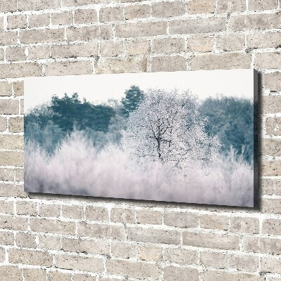 Tableau imprimé sur toile Arbres en hiver