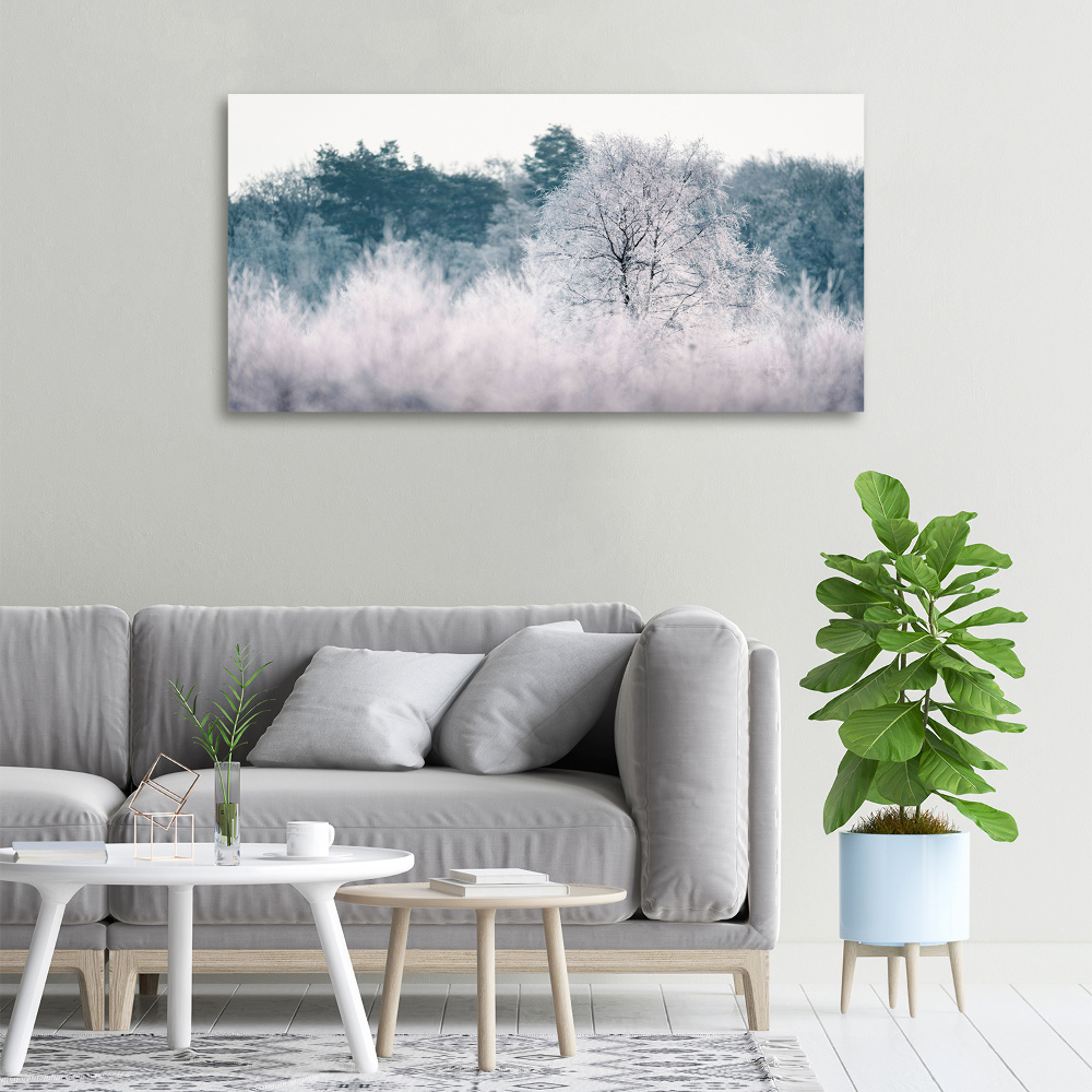 Tableau imprimé sur toile Arbres en hiver