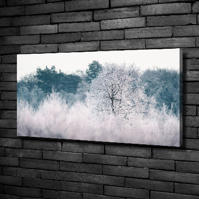 Tableau imprimé sur toile Arbres en hiver