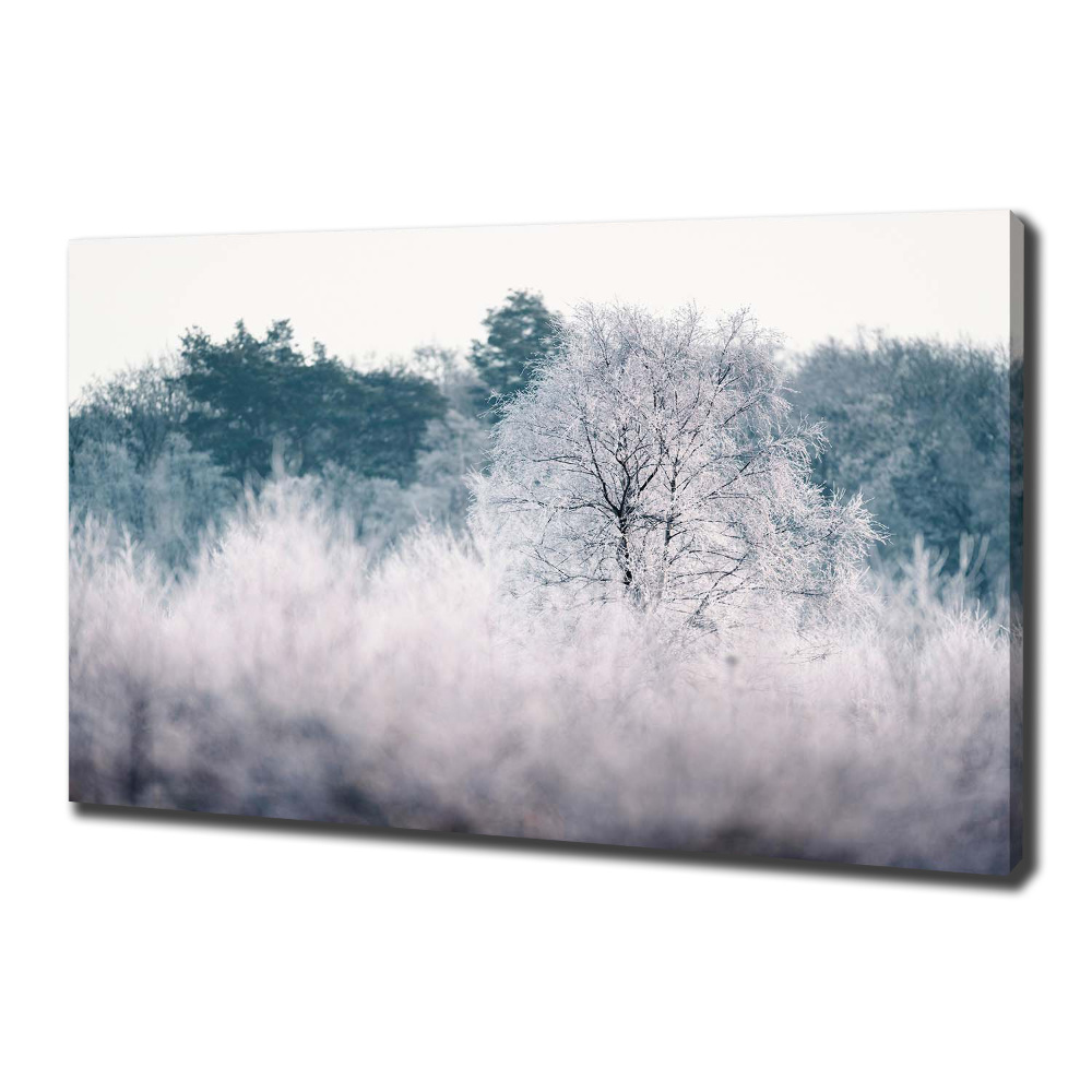 Tableau imprimé sur toile Arbres en hiver