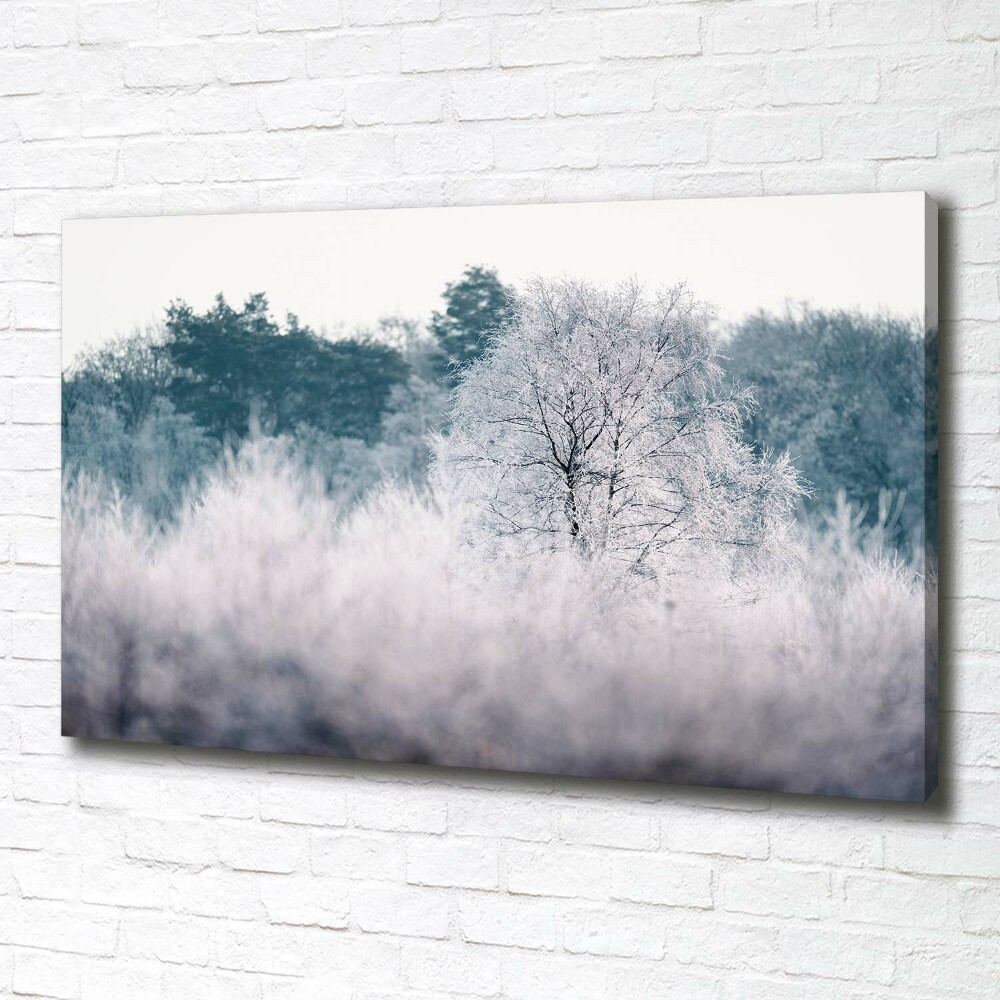 Tableau imprimé sur toile Arbres en hiver