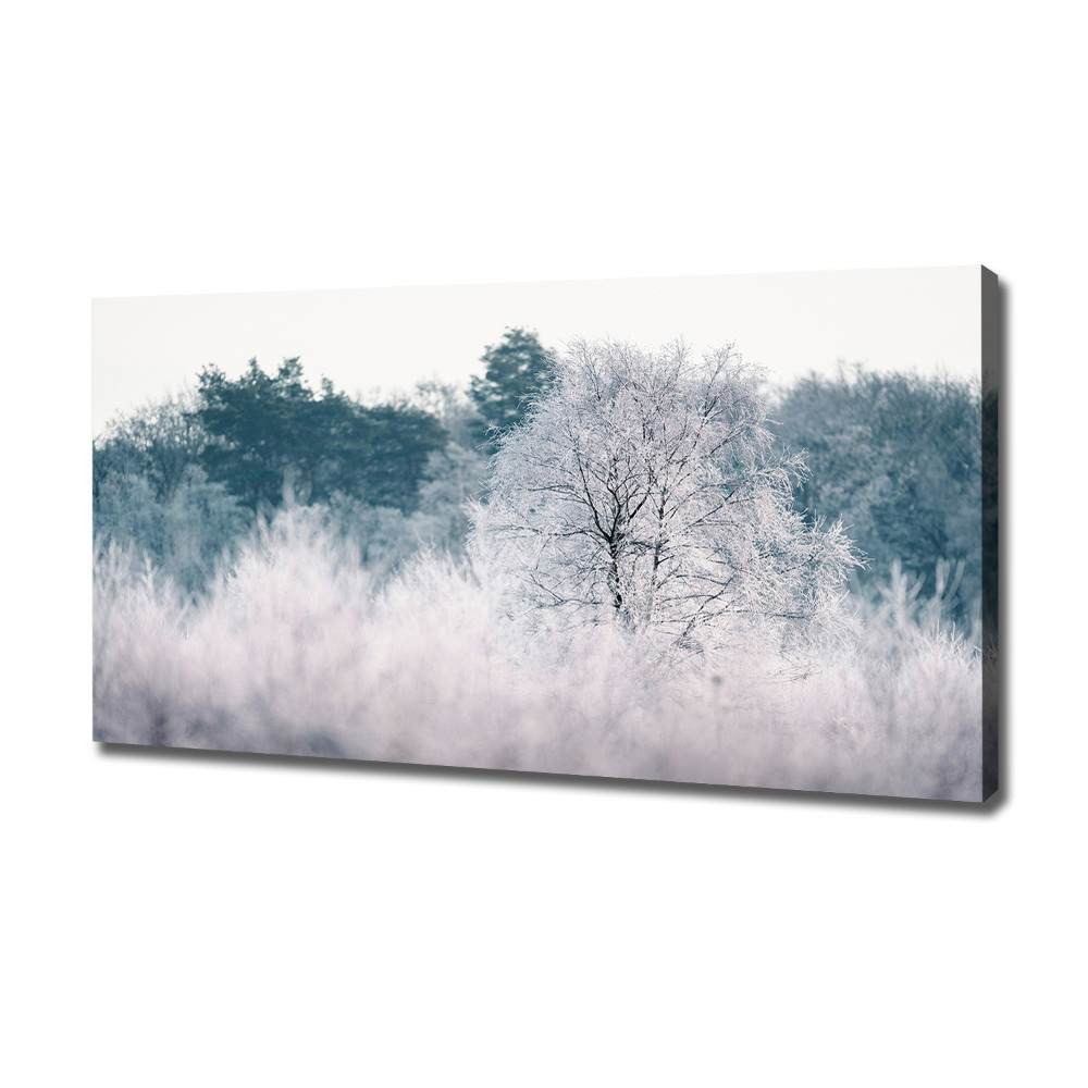 Tableau imprimé sur toile Arbres en hiver