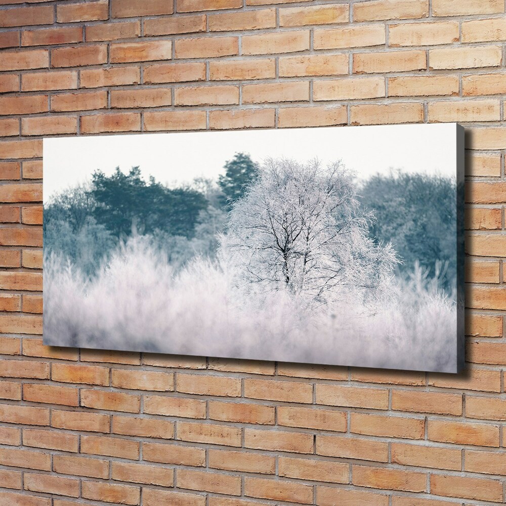 Tableau imprimé sur toile Arbres en hiver