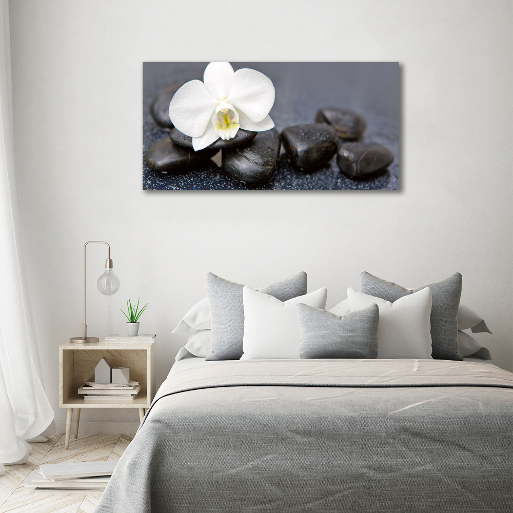 Tableau imprimé sur toile Orchidée