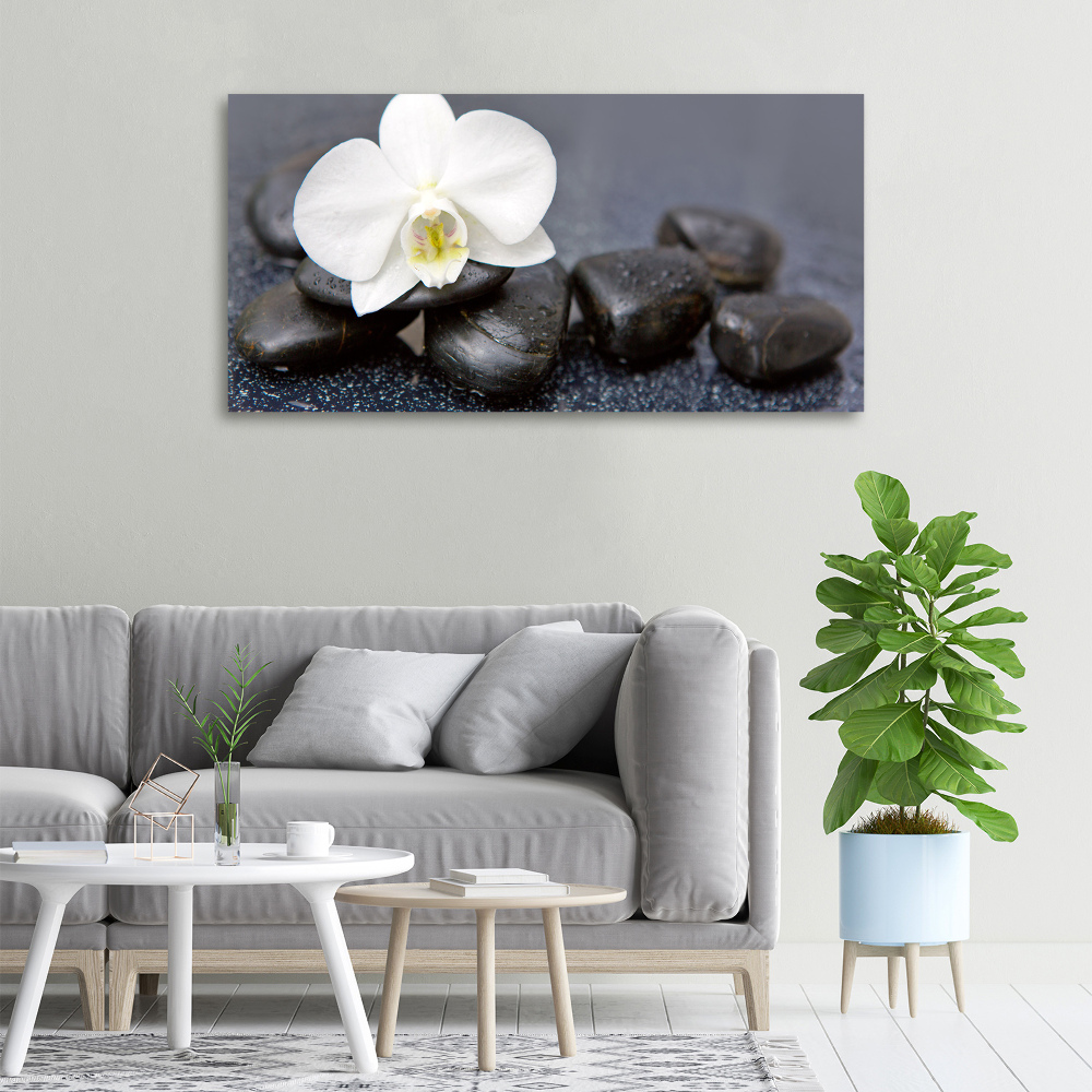 Tableau imprimé sur toile Orchidée