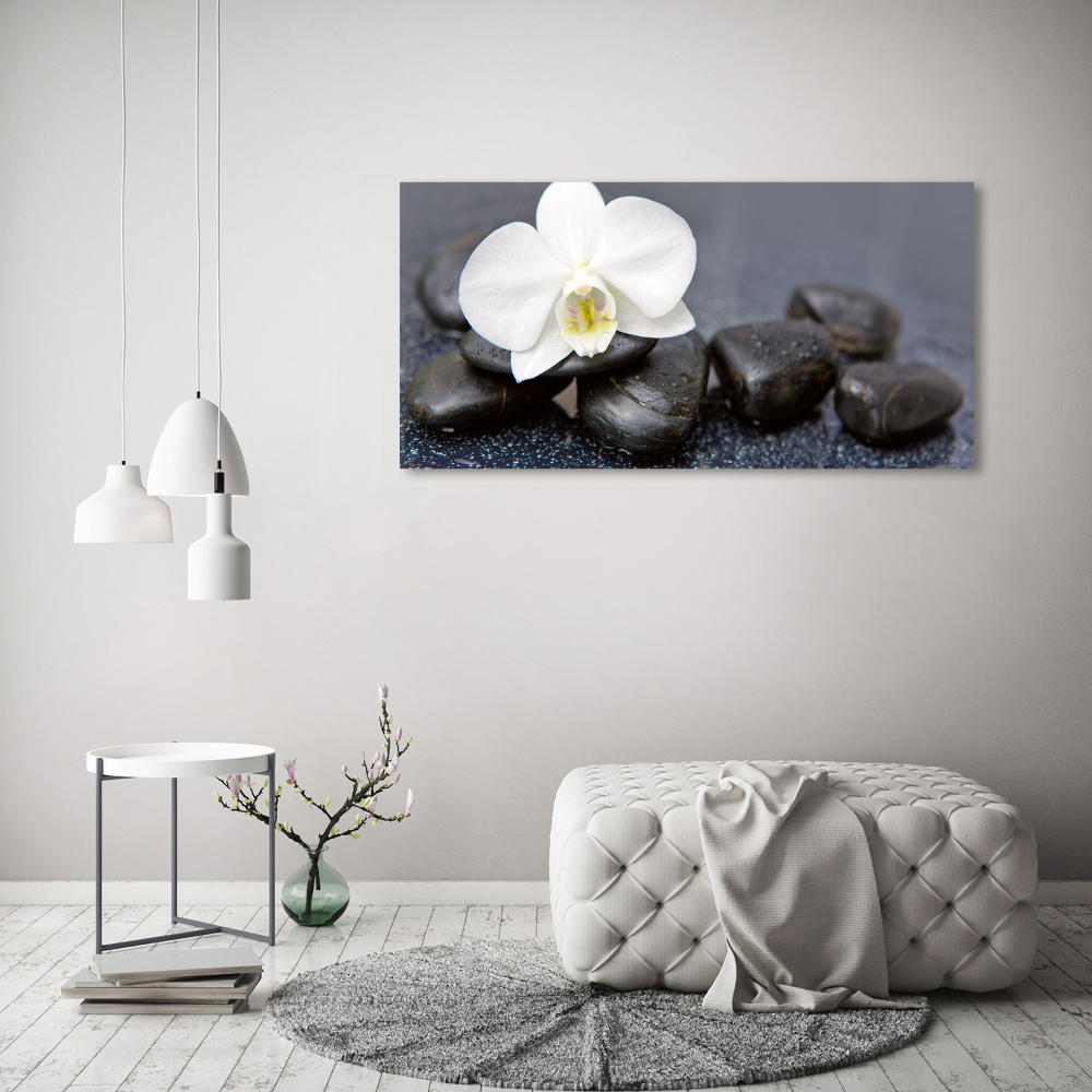 Tableau imprimé sur toile Orchidée