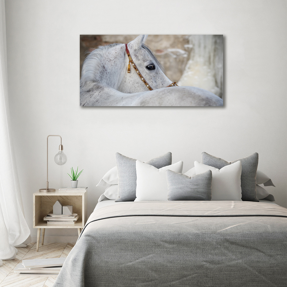 Tableau mural sur toile Cheval arabe blanc