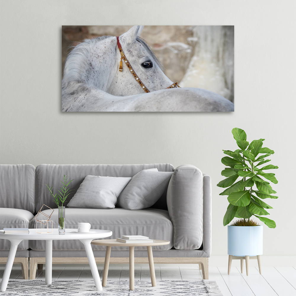 Tableau mural sur toile Cheval arabe blanc