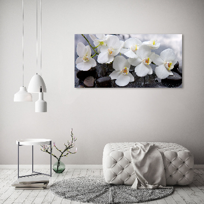 Tableau mural sur toile Fleur de l'orchidée