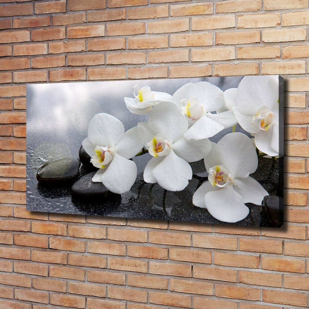 Tableau sur toile Fleur d'orchidée