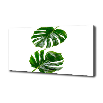 Tableau photo sur toile Monstera feuilles