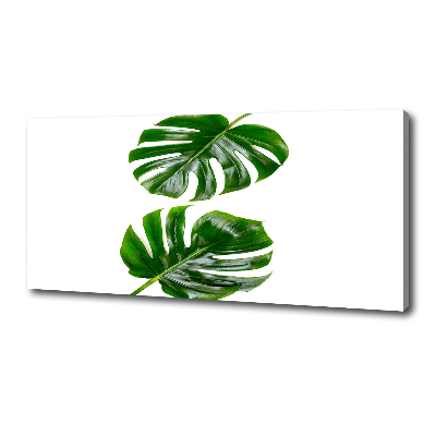 Tableau photo sur toile Monstera feuilles