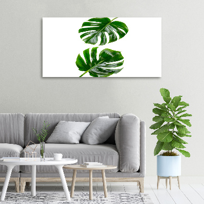 Tableau photo sur toile Monstera feuilles