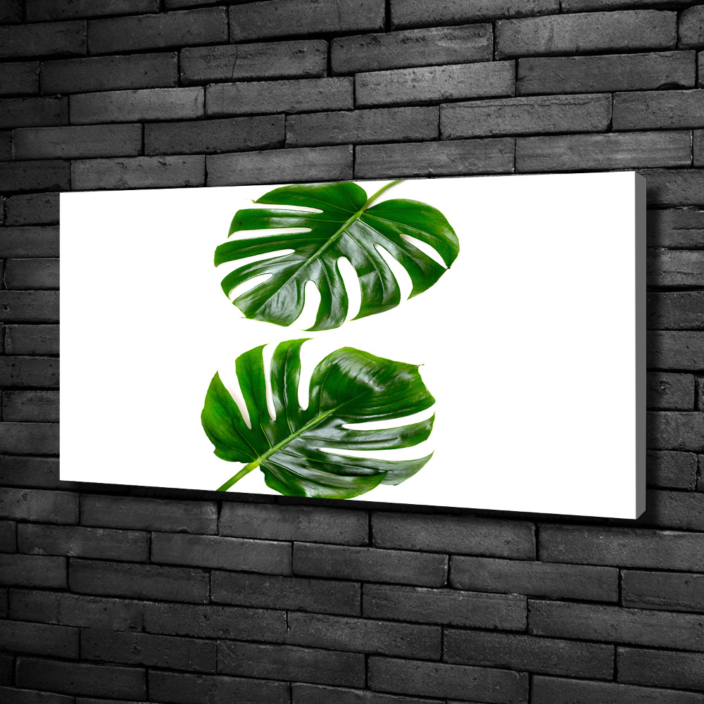 Tableau photo sur toile Monstera feuilles