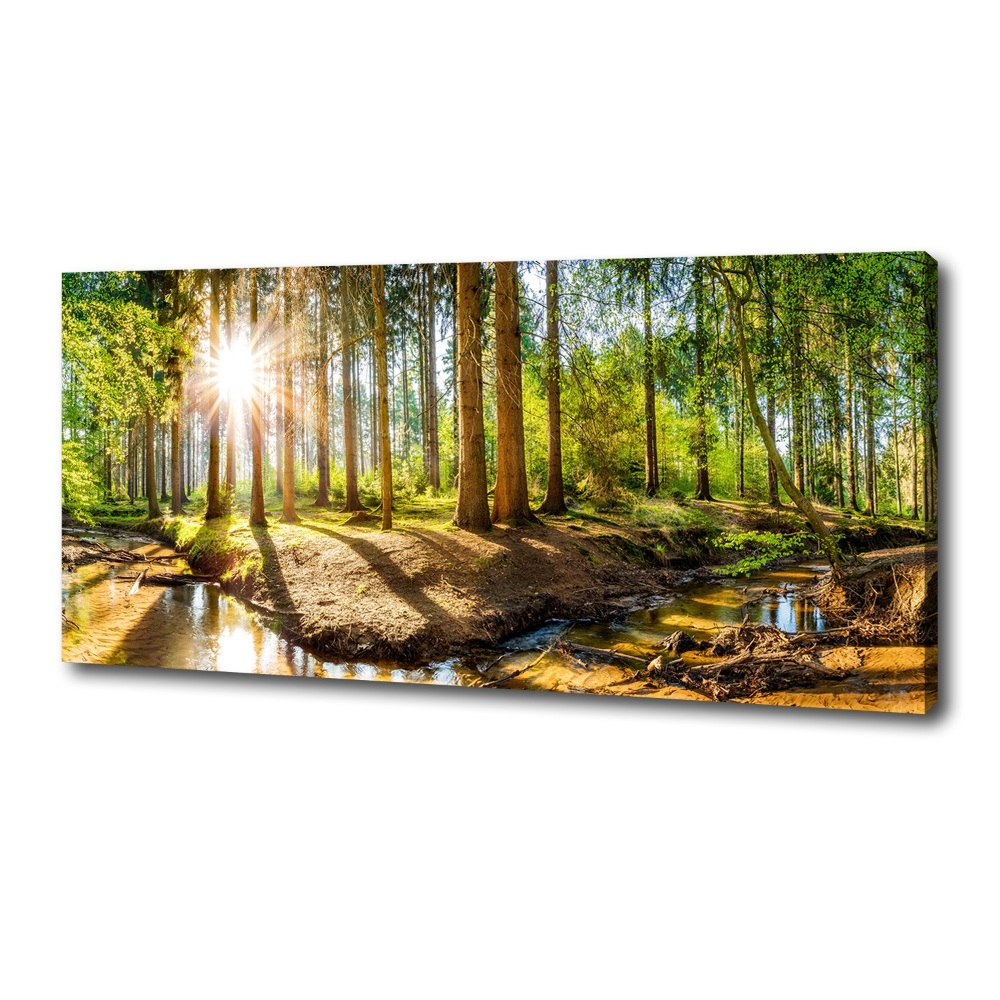 Tableau sur toile Panorama de la forêt