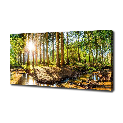 Tableau sur toile Panorama de la forêt