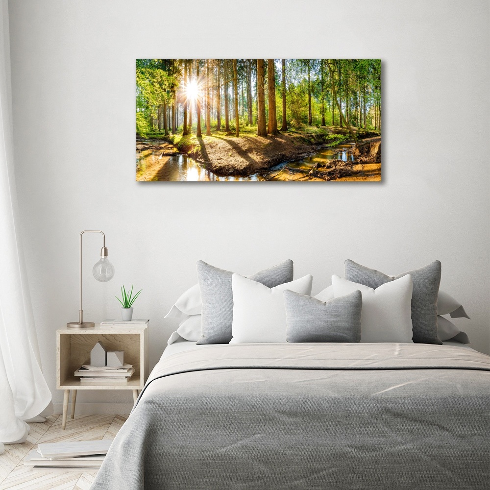 Tableau sur toile Panorama de la forêt