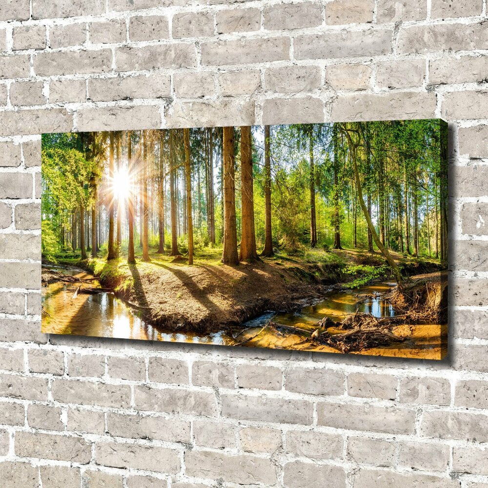 Tableau sur toile Panorama de la forêt