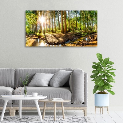 Tableau sur toile Panorama de la forêt