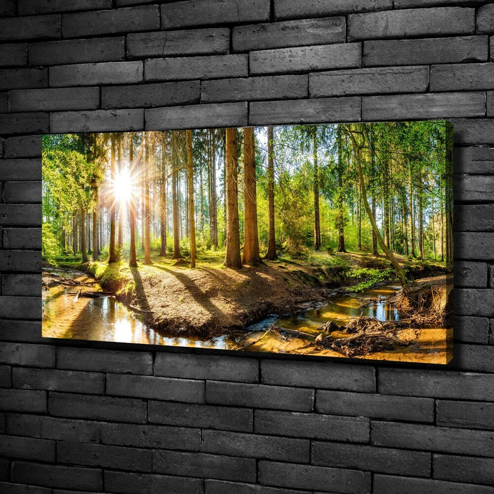 Tableau sur toile Panorama de la forêt