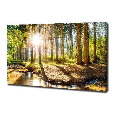 Tableau sur toile Panorama de la forêt