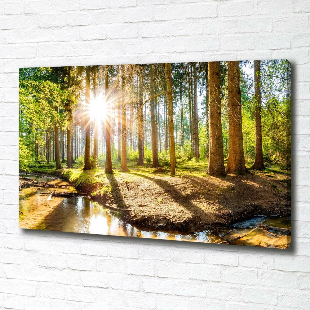 Tableau sur toile Panorama de la forêt