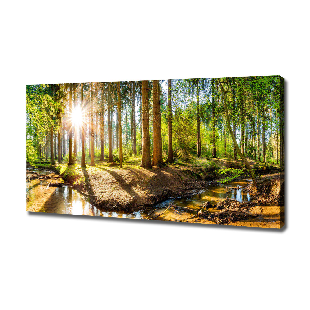 Tableau sur toile Panorama de la forêt