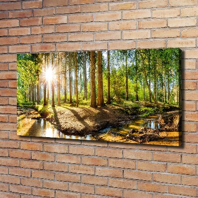 Tableau sur toile Panorama de la forêt