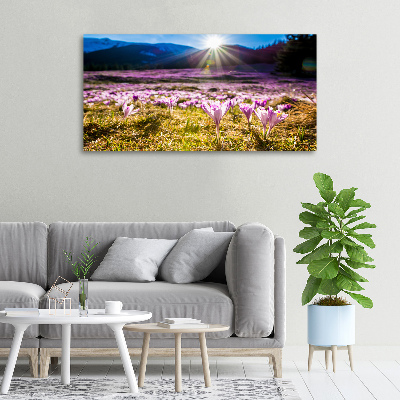 Tableau sur toile Crocus dans une clairière