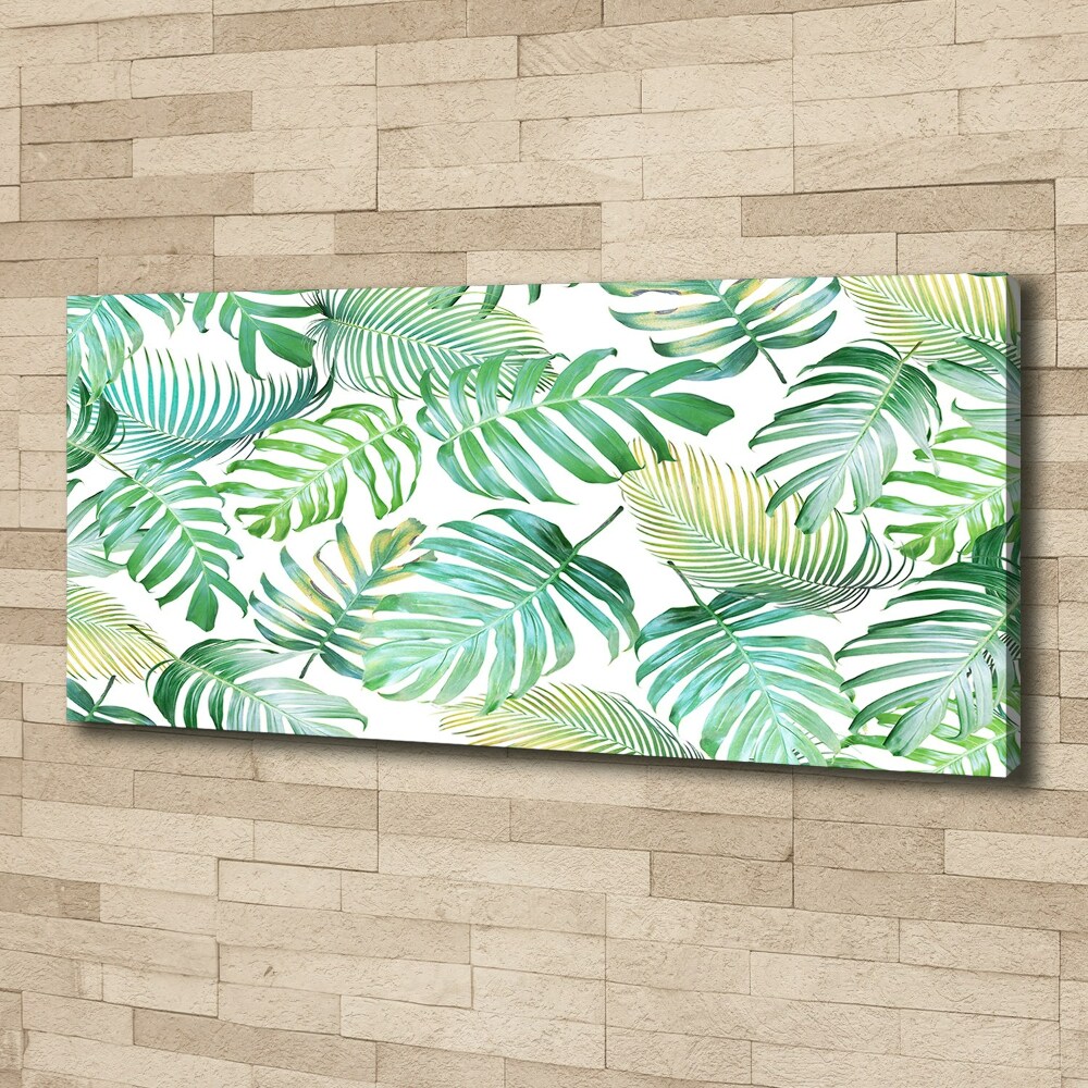 Tableau mural sur toile Feuilles de palmier tropicales