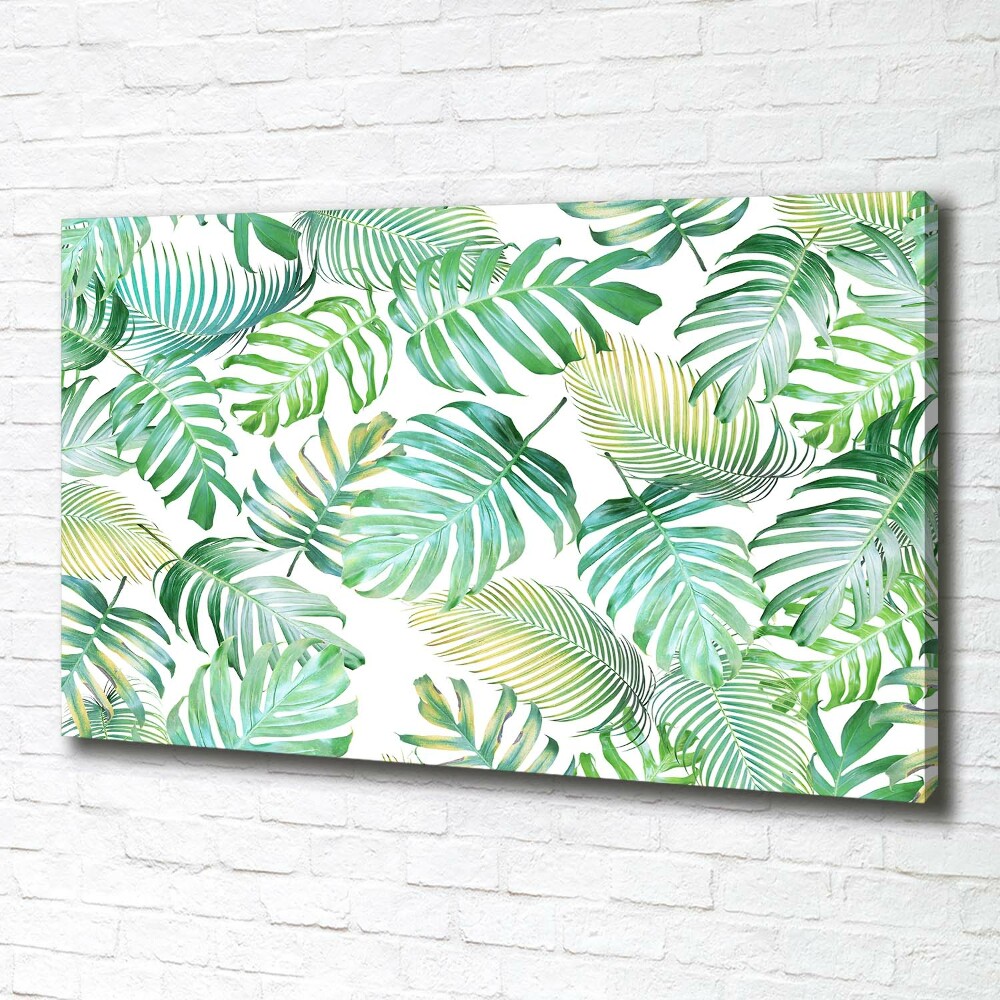 Tableau mural sur toile Feuilles de palmier tropicales