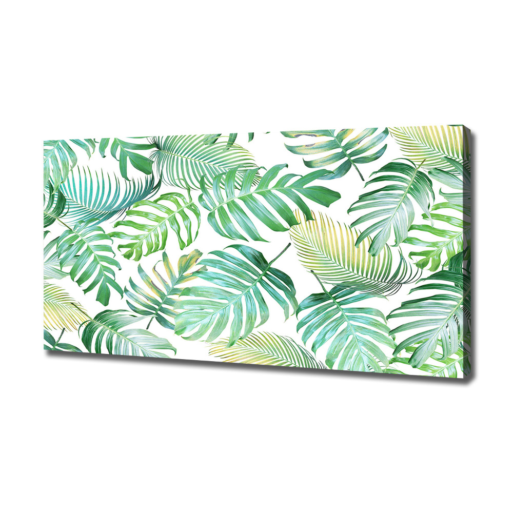 Tableau mural sur toile Feuilles de palmier tropicales