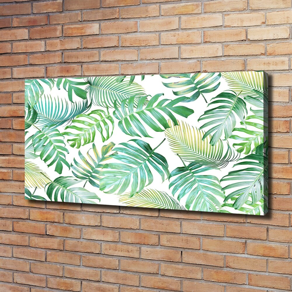 Tableau mural sur toile Feuilles de palmier tropicales