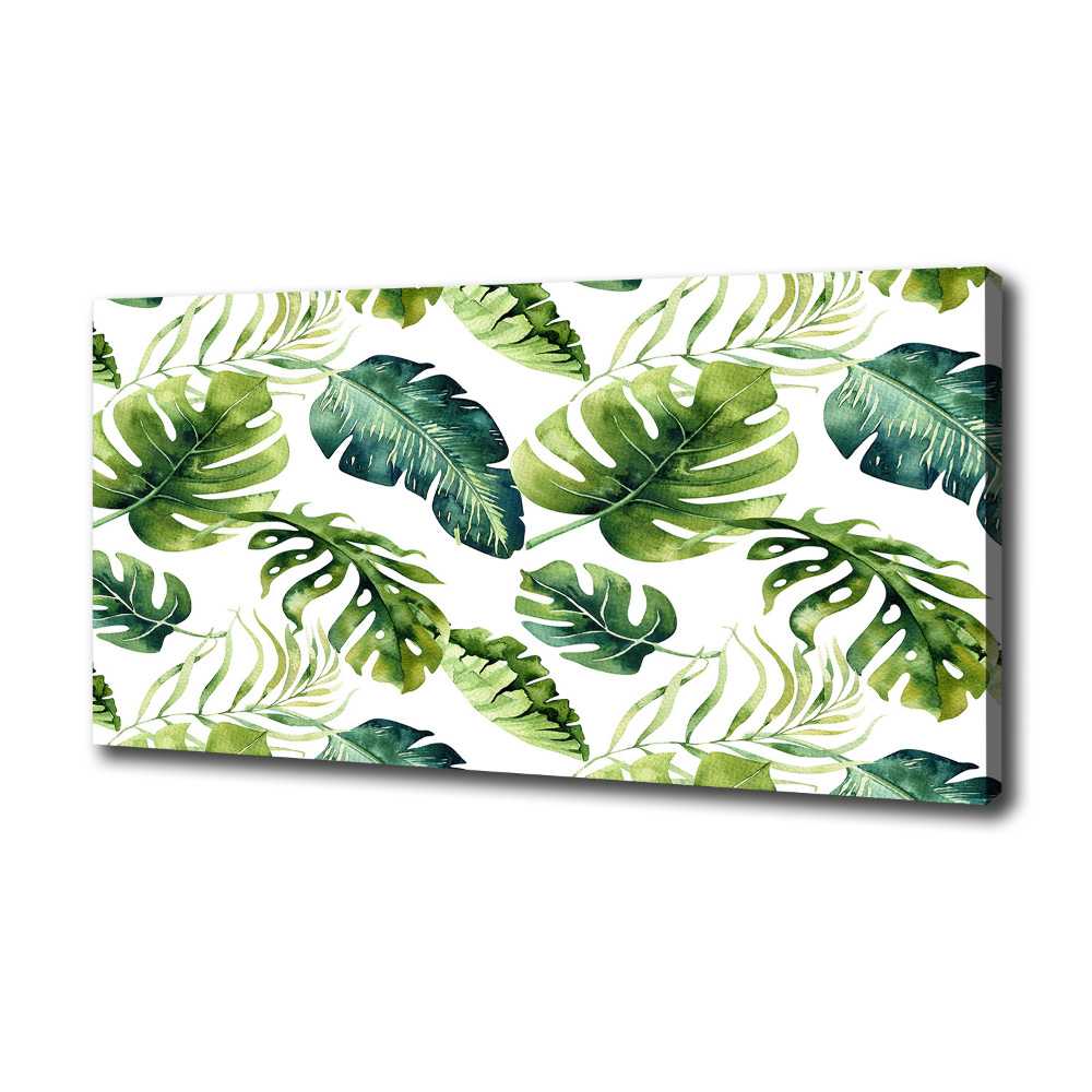 Tableau imprimé sur toile Feuilles tropicales