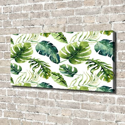 Tableau imprimé sur toile Feuilles tropicales