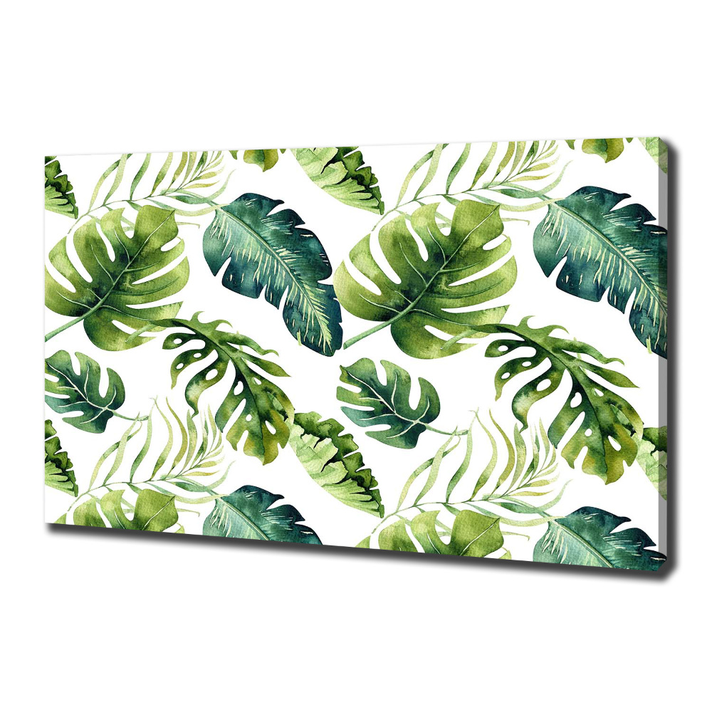 Tableau imprimé sur toile Feuilles tropicales