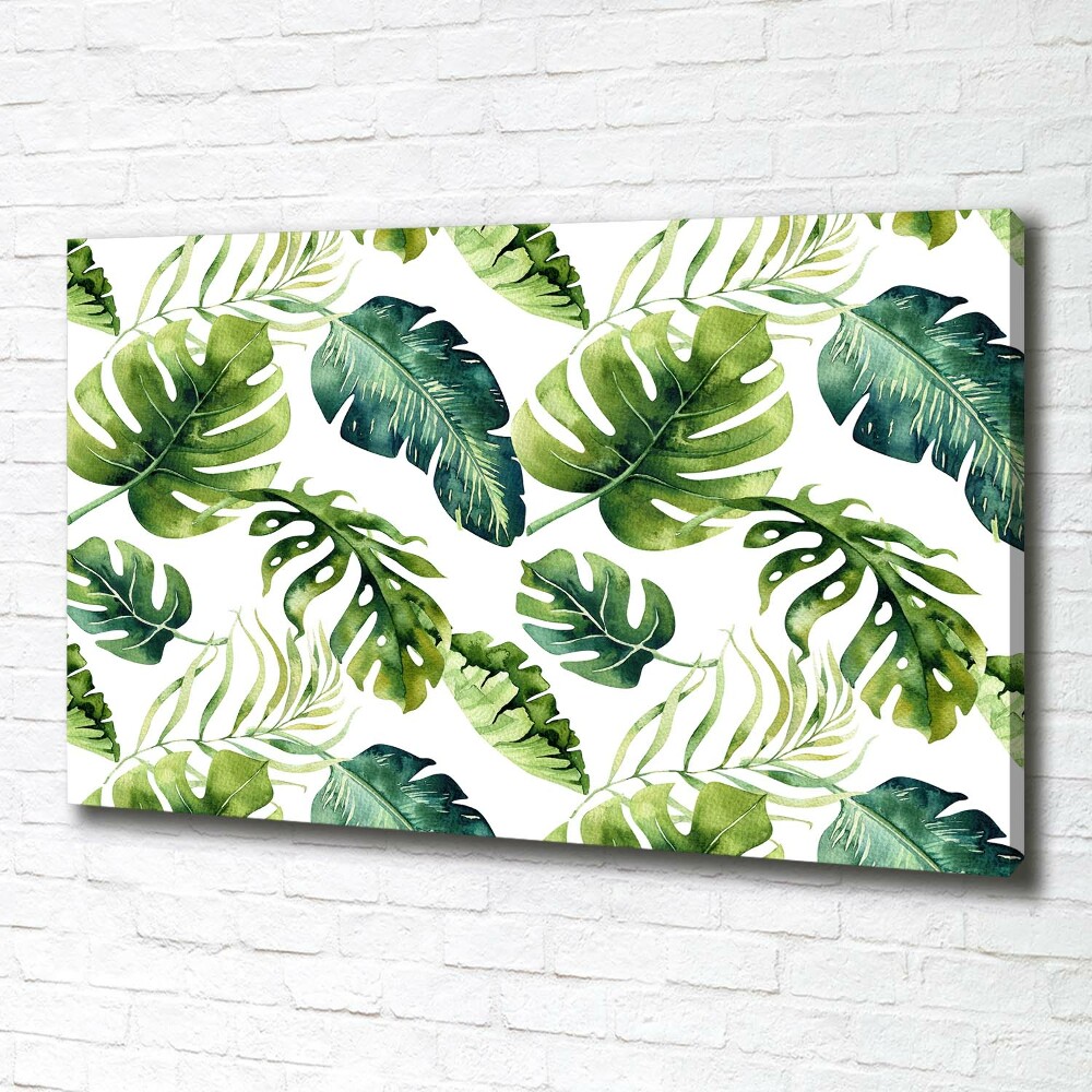 Tableau imprimé sur toile Feuilles tropicales