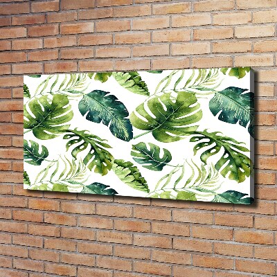 Tableau imprimé sur toile Feuilles tropicales